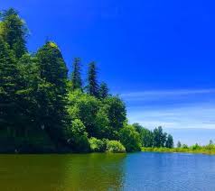 The total driving time is 39 hours, 11 minutes. Rooster Rock State Park Oregon State Parks