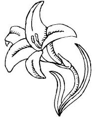 Lily Coloring Page Lily Pictures Coloring Pages Flower Coloring Pages