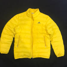 In spring and early summer, yellow jackets are carnivores, feeding mostly on insects to provide protein to developing larvae in their colony. Adidas Yellow Puffer Jacket Shop Clothing Shoes Online