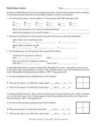 Online library spongebob genetics quiz answers to answer the following Bikini Bottom Genetics Name Scientists At Bikini Bottoms Flip Ebook Pages 1 11 Anyflip Anyflip