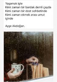 S N Guii Adli Kullanicinin Bazilari Siir Sev Mez Panosundaki Pin Guzel Soz Ilham Ayi