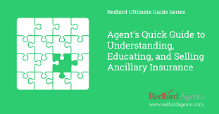 Check spelling or type a new query. Ancillary Insurance An Agent S Quick Guide To Getting Started