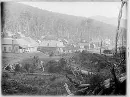 Glen Wills In Victoria About 1900 Melbourne Victoria Old Photos Photo