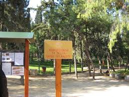 Δείτε όλες τις εξελίξεις από όλα τα sport σήμερα μέσα από το online portal sdna.gr. Alsos Neas Smyrnhs Mapio Net