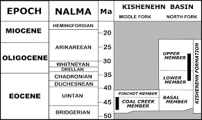 Stratigraphic Chart Showing Relation Of The Kishenehn
