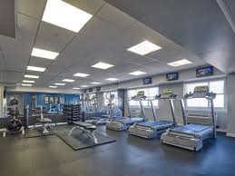 Is there any mma gym like la boxing near rutgers new bunswick where i can train both sports performance and mma at the same time? The Vue New Brunswick Nj Apartment Finder