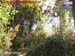 Imola will forever be tainted by the tragedies of 1994 which prompted major revisions to its layout but tamburello was no more, replaced by a chicane, as was the case at villeneuve. Imola Circuit 25 Years After The Tragedy Circuits Of The Past