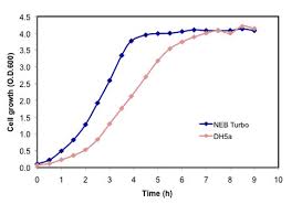 Cell growth implies the presence of metabolic activity and membrane integrity. Neb Turbo Competent E Coli High Efficiency Neb