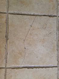 This is a wonderful diy foundation repair epoxy. I Have A Cracked Tile On My Kitchen Floor