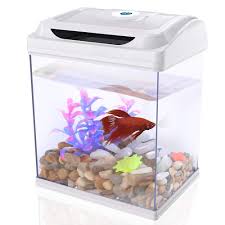 Which is the best betta fish food? Aquariums Fish Bowls Pebbles Plants Pump Dadypet Betta Fish Tank Aquarium Starter Kits 1 Gallon With Led Lighting Pet Supplies