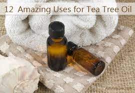 12 Amazing Uses For Tea Tree Oil Nature Moms Tea Tree Oil Tea Tree Oil For Acne Tea Tree Oil Uses