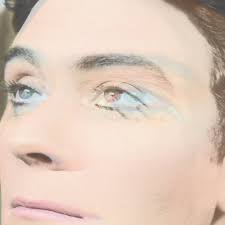 Christopher : Ruby Suns, The: Amazon.sg: Books