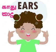 It's the ideal body parts activity for kids. Body Parts In Tamil Kids Educational Park Facebook