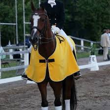 This was based on global research after spending 3 months in the u.s. Magdalena Soderlund Magdalenasoderl Profile Pinterest