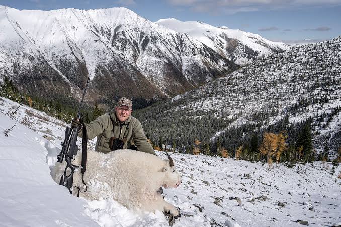 Mountain Goat Quest In British Columbia - Safari Club