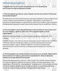 гдз по биологии 5 класс пасечник рабочая тетрадь 2018 Gdz Po Biologii 5 Klass Pasechnik Na Lol Kek