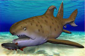 A rare ancient shark has been identified by New Mexico paleontologists |  SYFY WIRE