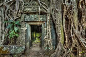 Ada seabrek cenderamata keren yang bisa dibawa pulang usai liburan di tempat cantik ini loh. 10 Tempat Menarik Di Kemboja Terbaik Rahsia Hebat Cambodia Tree Roots Tree Angkor