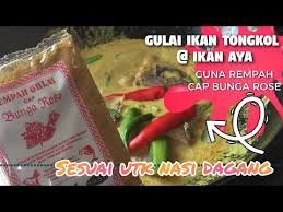 Nasi dagang and gulai ikan tongkol is matched to perfection and whn you wash it down with their refreshing ice kampung coffee. Cara Buat Gulai Ikan Tongkol Atau Gulai Ikan Aya Untuk Nasi Dagang Guna Rempah Gulai Bunga Rose Youtube