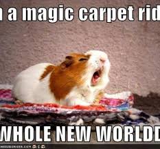 Super funny animal videos that will make you laugh a lot !! Clean Funny Animal Quotes Quotesgram