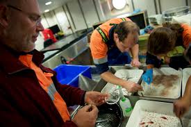 Rare krill 'super-swarm' a voyage highlight