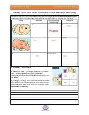 Check spelling or type a new query. Amoeba Sisters Video Sheet Monohyrbrid Crosses Pdf Amoeba Sisters Video Recap Monohybrid Crosses Mendelian Amoeba Sisters Video Recap Monohybrid Course Hero