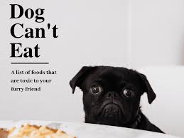 They eat a variety of foods, including meat, vegetables, fruits, carbohydrate although their ancestors were primarily carnivores, dogs today are omnivores. List Of Toxic Human Foods Your Dog Cannot Eat Pethelpful