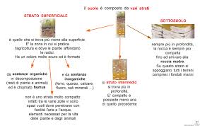 Il Suolo Sc Elementare Lezioni Di Scienze Scuola Elementare Scuola