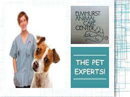 Some dogs may also have problems with other canines if they weren't socialized or trained properly by their previous owners. Elmhurst Animal Care Center How Dog Training Saves Lives