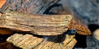 The Best Wood For Smoking Meat Ribs Pork Turkey Brisket