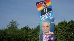 Cinco claves para entender el éxito del partido alemán de ultraderecha AfD  - France 24