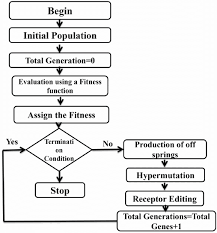 Clonal Selection Algorithm Process Flow Chart Download