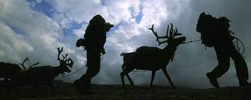 I dag firas samernas nationaldag. Hur Uppmarksammar Du Samernas Nationaldag Natur Kultur