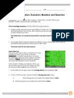 Genotype, mutation, natural selection, phenotype, trait. Student Exploration Evolution Mutation And Selection Gizmo Answers Fitness Biology Allele