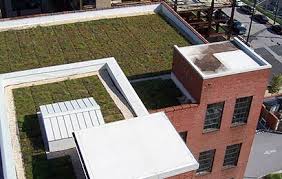 Roofs Sustainability Guidelines Technical Preservation Services National Park Service