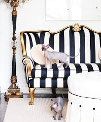 Black And White Couch Ideas New Pet No Problem Secrets To Pet Friendly Interior Design Old Hollywood Decor Striped Sofa Black White Sofa