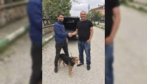 Av Kopegi Karsiliginda Transfer Oldu