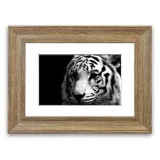 Black And White Canvas Pictures Uk East Urban Home Tiger Black And White Framed Photograph Black White Framed Wall Art Wall Art