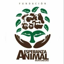 Check spelling or type a new query. Fundacion Esperanza Animal Linktree