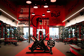 Gyms & Fitness Clubs