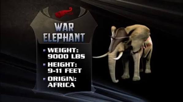 Elephant | Deadliest Warrior Wiki | Fandom