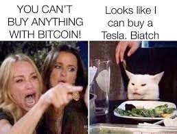 Hence, the public has started to foresee the chances of tesla incorporating the meme token. Tesla Is On The Menu Bitches Cryptocurrency