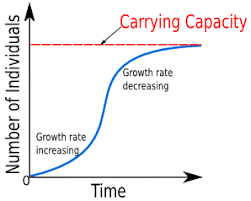Copy this string of text into a cell, and replace a1 with the cell for your strength value, and you will get the heavy load carrying capacity, from which you can then use nice equations such as /3. Logistic Growth Model Logisticgrowth Logisticgrowthmodel By Solomon Xie Calculus Basics Medium