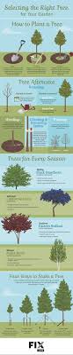 And you don't have to have a massive lot or backyard in order to plant trees for food, shade, or beauty, as there. Selecting The Right Tree For Your Garden Fix Com