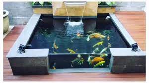 Saat ini dimana udara semakin panas dan banyak polusi, membuat kolam ikan sangat penting untuk dihadirkan di rumah kita. 5 Kolam Ikan Koi Kaca Minimalis Taman Rumah Indoor Terbaik Youtube