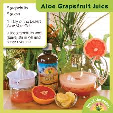 Epingle Sur Aloe Recipes