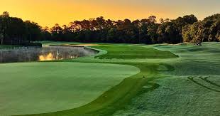 Dj was +1200 at draftkings as of monday morning. Dye S Valley Course At Tpc Sawgrass St Augustine Ponte Vedra Fl