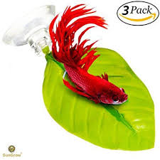 3 Leaf Hammocks For Betta Fish Lightweight And Realistic Resting Spot 6 5 X 4 0 Bpa Fr With Images Betta Fish Toys Betta Fish Fish Aquarium Decorations