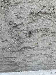 Image result for pokoutnik st job 