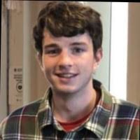 50+ "Beese" profiles